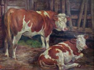 Stier und Kuh im Stall