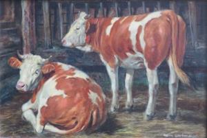 Kuh und Rind im Stall
