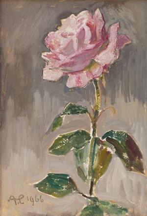 Rosa Rose, 1966